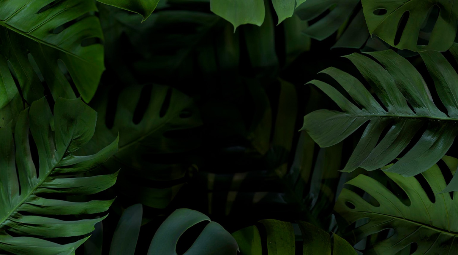 Doğayla Uyumlu Seçenekler: Unigen PVC Zemin Kaplamalarıyla Çevreyi Koruyun