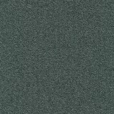 Millennium Nxtgen 579