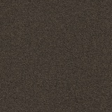 Millennium Nxtgen 883