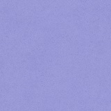 Sabbia Lavender 579