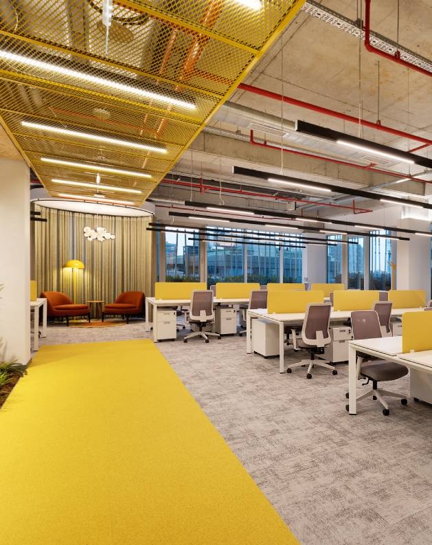 MR D.I.Y Türkiye Destek